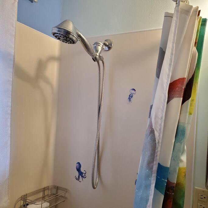 Sweet 2 Bedroom Close To U Of Oregon & Track! Γιουτζίν Εξωτερικό φωτογραφία