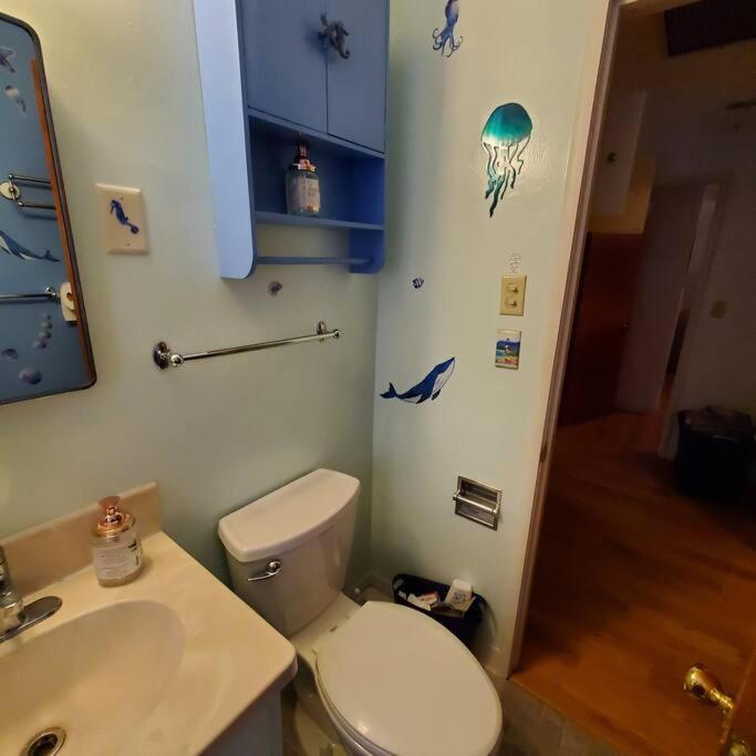 Sweet 2 Bedroom Close To U Of Oregon & Track! Γιουτζίν Εξωτερικό φωτογραφία